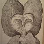 dansamebrain