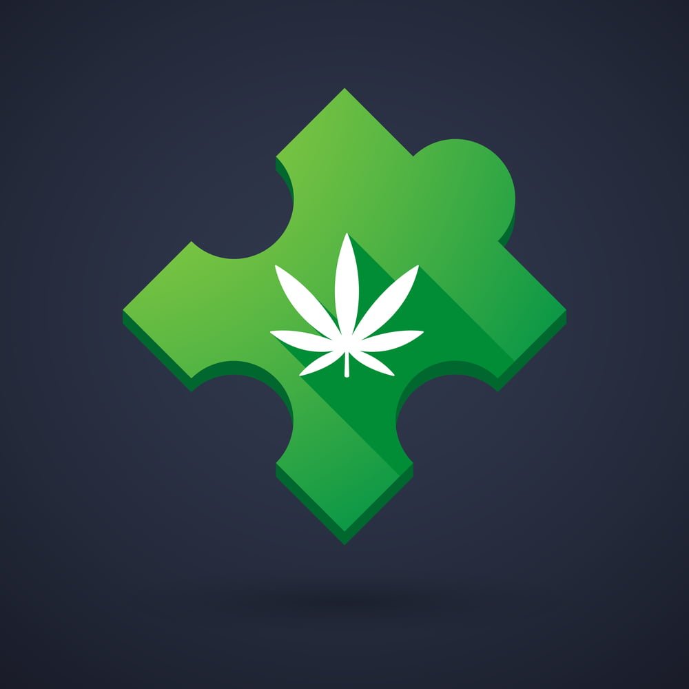 Medical Marijuana for Autism