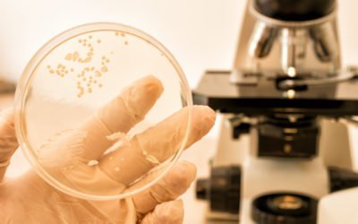 The Autism Yeast Connection