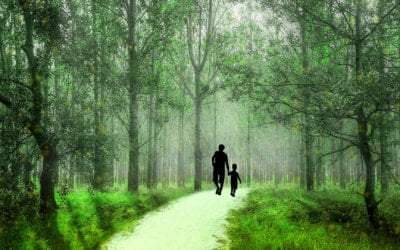 Some Summertime Autism Advice