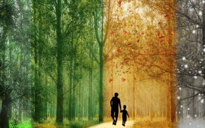 The Autism Doctor’s New Office